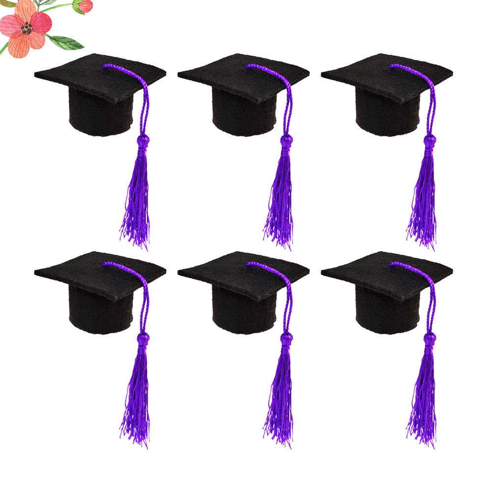6개입 박사 모자 모양 와인병 캡, 졸업 기념 장식,  - Wine Beer Hat 리뷰 및 가격